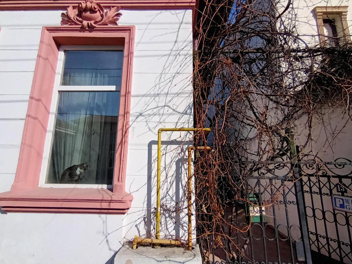Casa Liveni Apartment Bucharest Luaran gambar