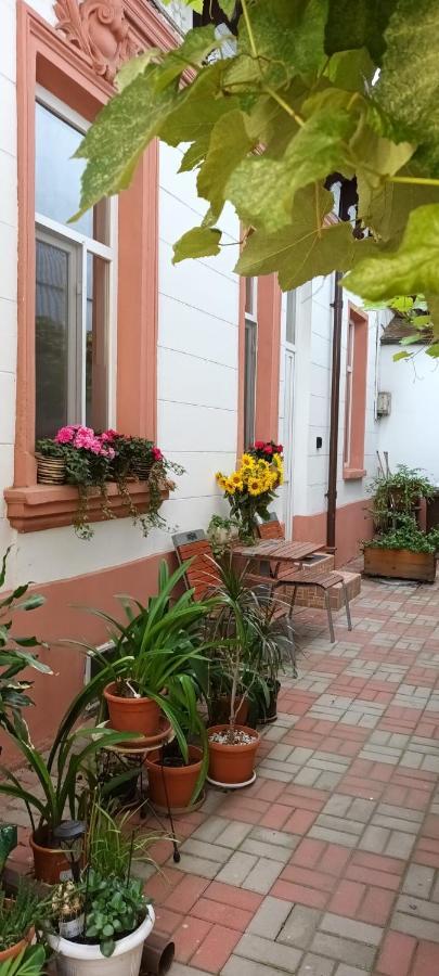 Casa Liveni Apartment Bucharest Luaran gambar